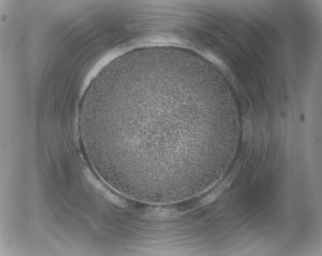 X0000056031374200508221503