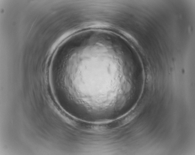 X0000056031375200508221503