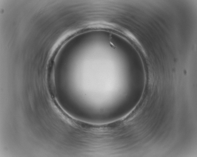 X0000056031376200508221503