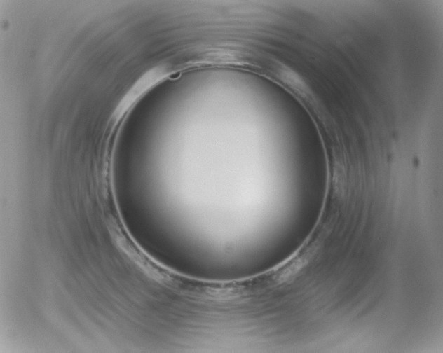 X0000056031378200508221503