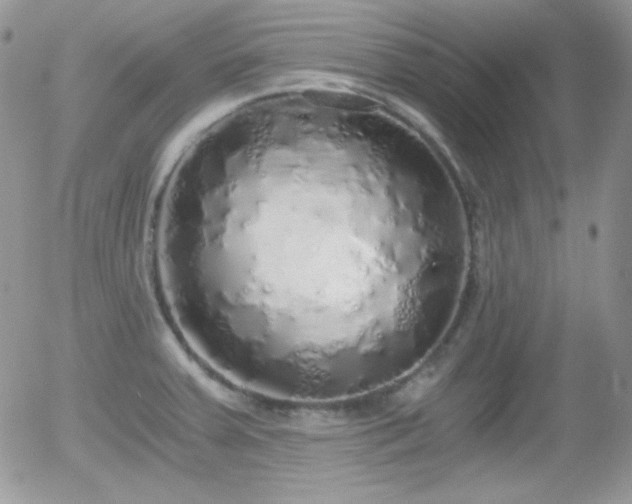 X0000056031379200508221503