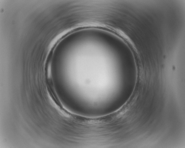 X0000056031380200508221503