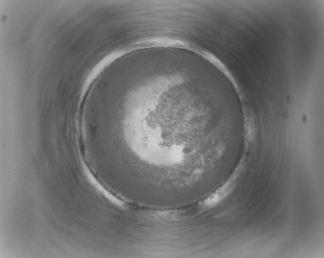 X0000056031381200508221503