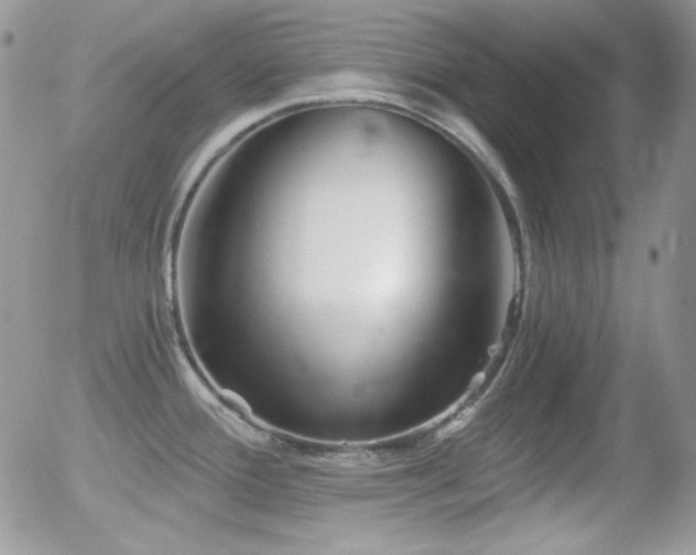 X0000056031388200508221503