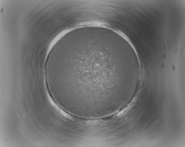 X0000056031389200508221503