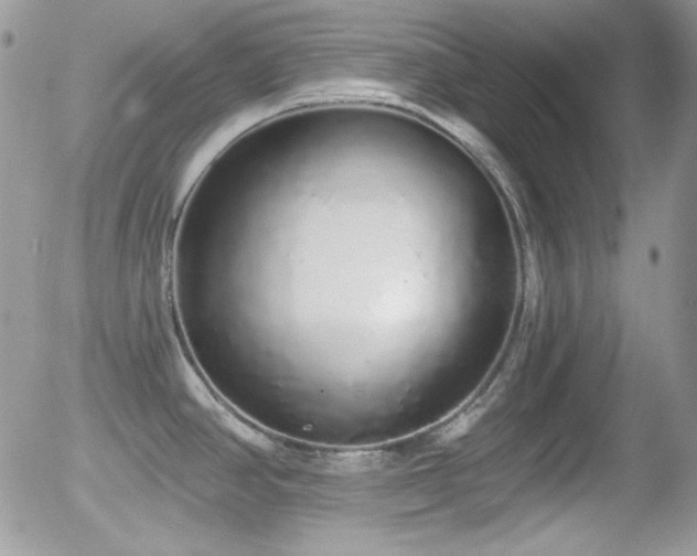 X0000056031390200508221503