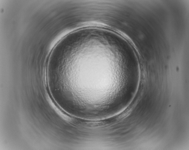 X0000056031391200508221503