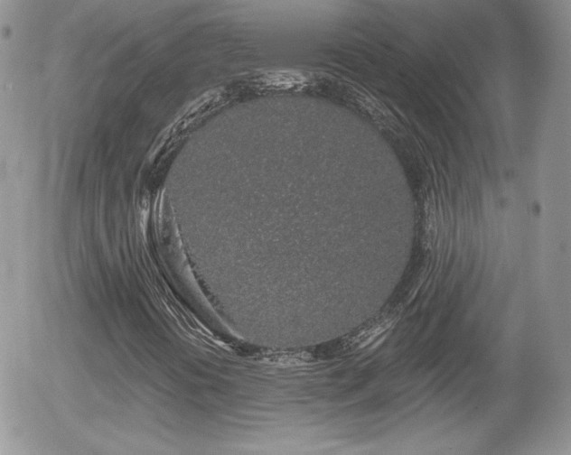 X0000056031394200508221502