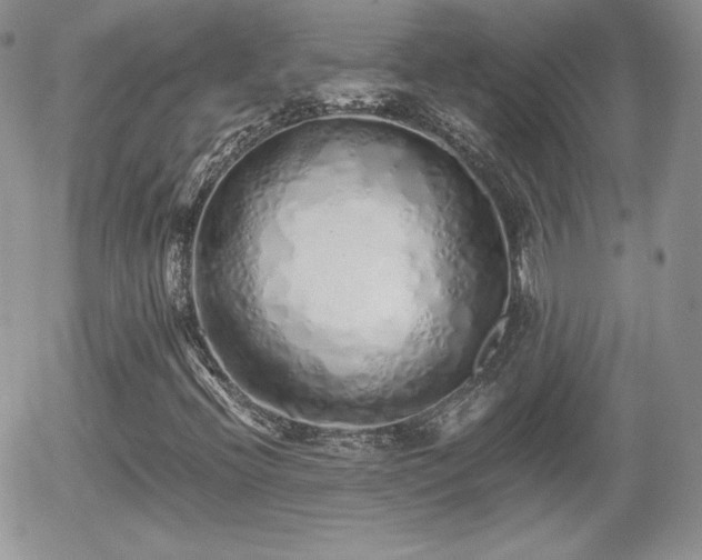 X0000056031396200508221502