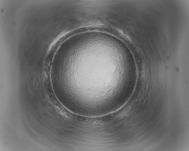 X0000056031400200508221502