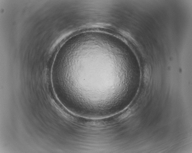 X0000056031404200508221502