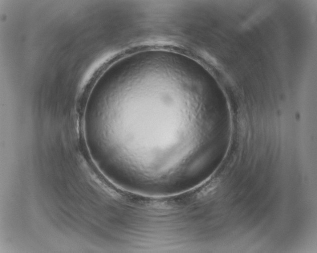 X0000056031408200508221502