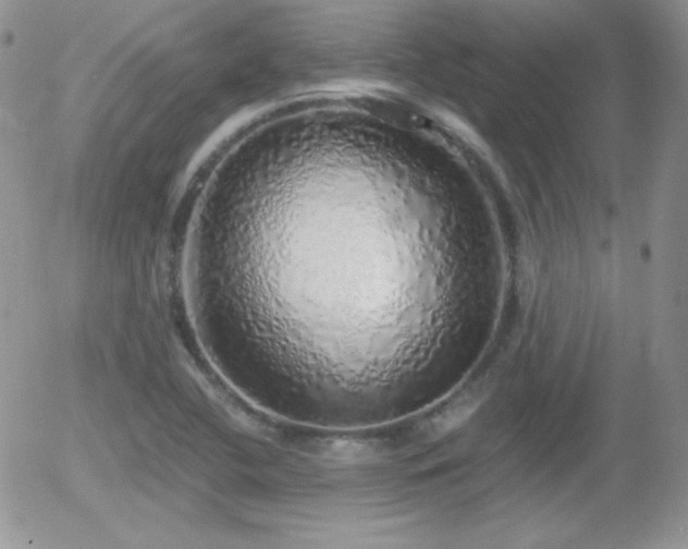 X0000056031412200508221502