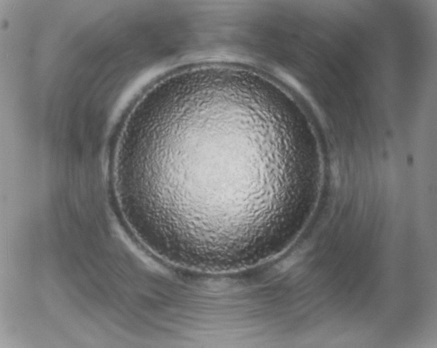 X0000056031416200508221502