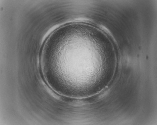 X0000056031420200508221502