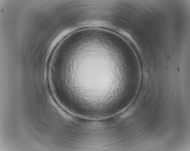 X0000056031424200508221503