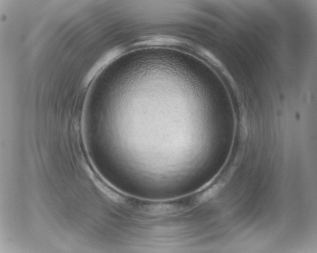 X0000056031425200508221503