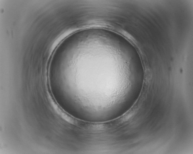 X0000056031431200508221503