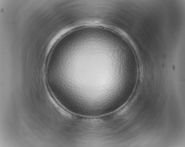 X0000056031432200508221503