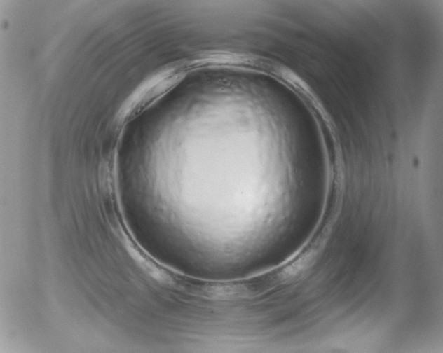 X0000056031433200508221503