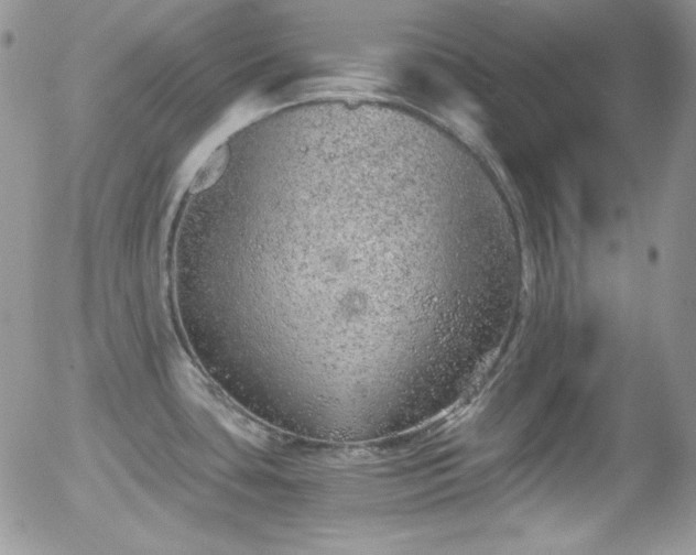 X0000056031435200508221503