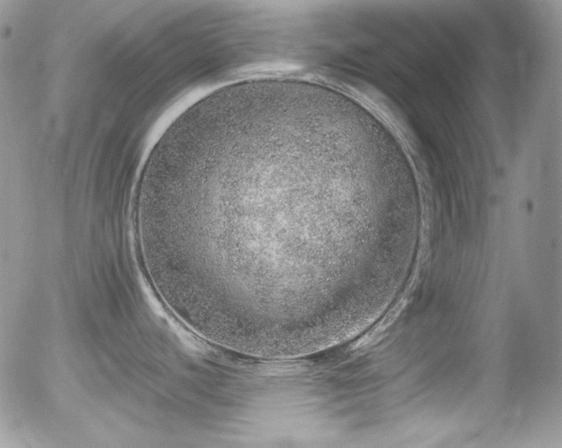 X0000056031440200508221503