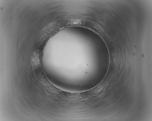 X0000056031442200508221502