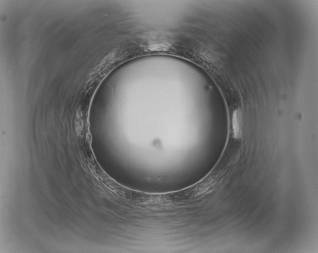 X0000056031443200508221502