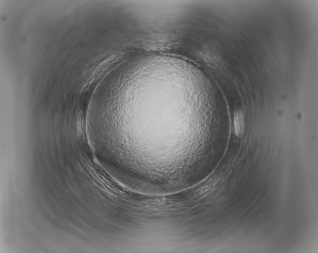 X0000056031444200508221502