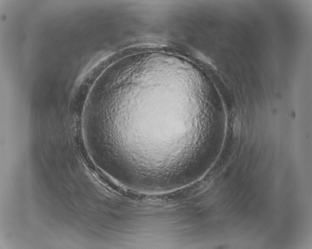 X0000056031448200508221502