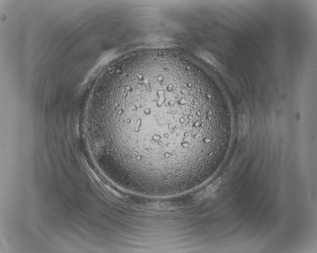 X0000056031451200508221502