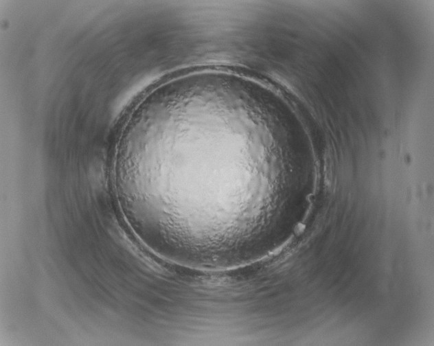 X0000056031452200508221502
