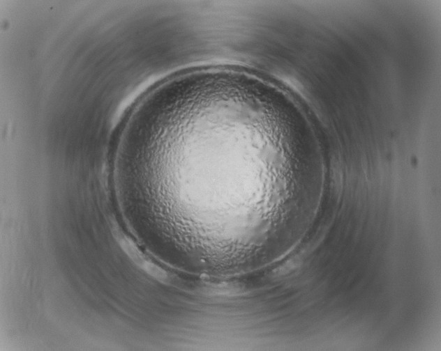 X0000056031460200508221502