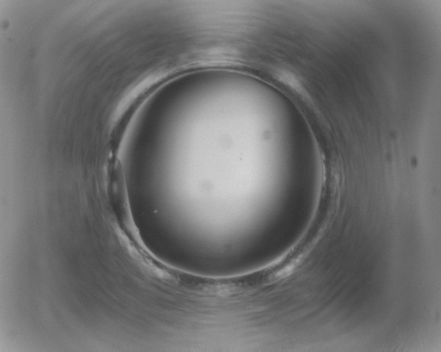 X0000056031461200508221502