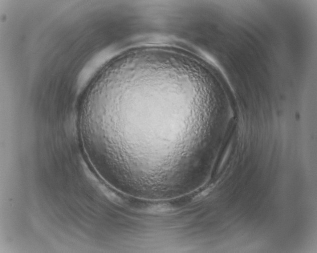 X0000056031464200508221502
