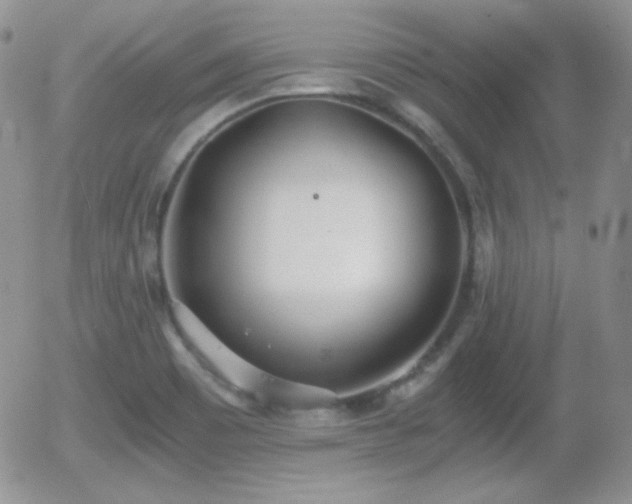 X0000056031465200508221502