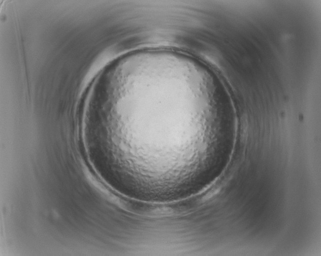 X0000056031467200508221502