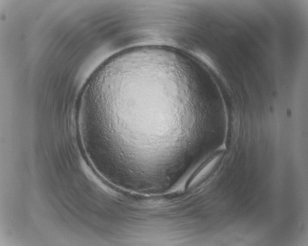 X0000056031468200508221502