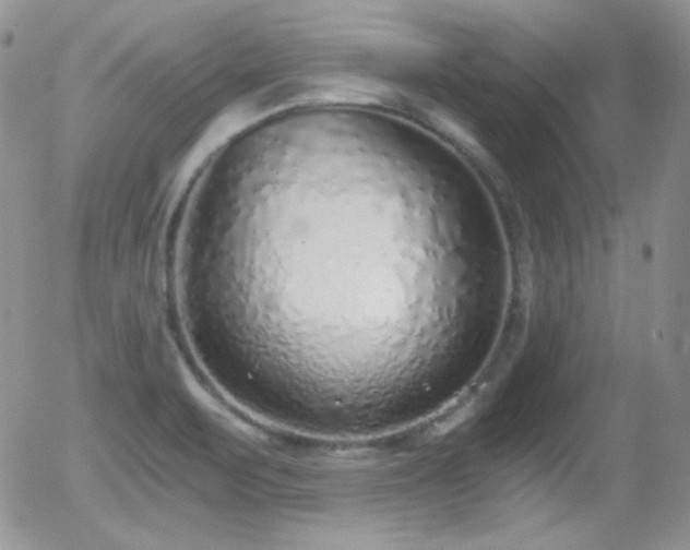 X0000056031471200508221502