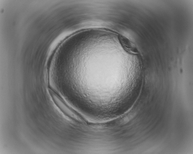 X0000056031472200508221502