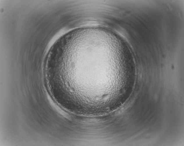 X0000056031475200508221501