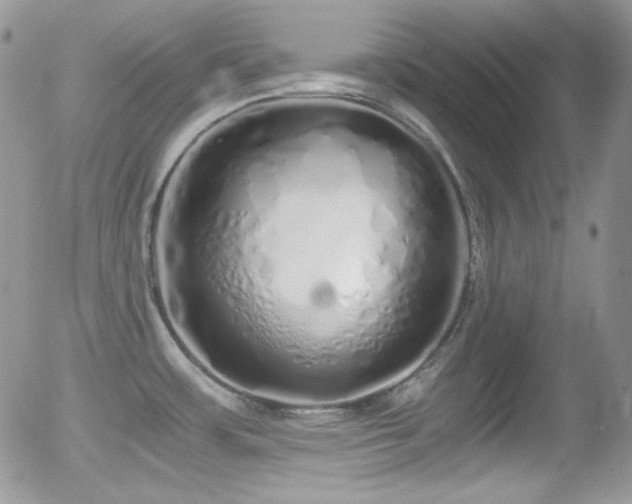 X0000056031483200508221501