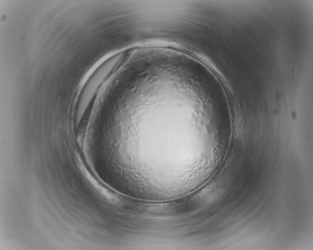 X0000056031484200508221501
