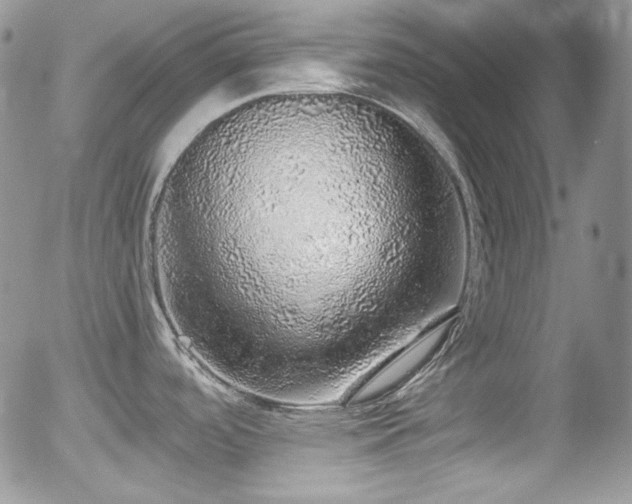 X0000056031488200508221501