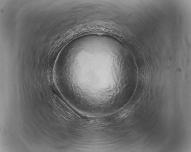 X0000056031490200508221500