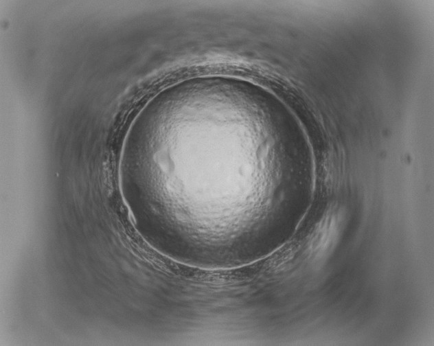 X0000056031493200508221501