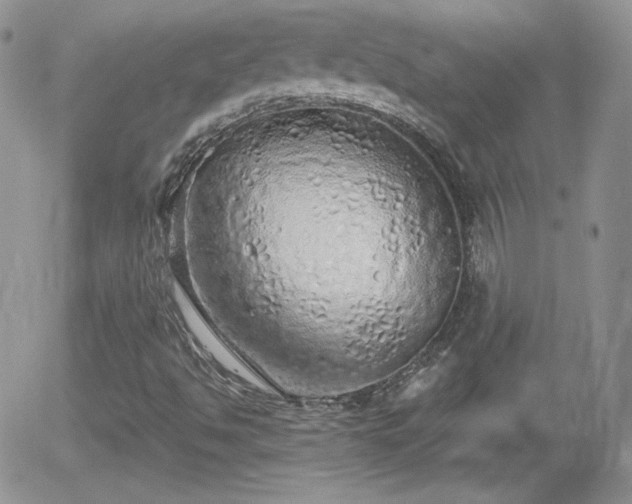 X0000056031494200508221501