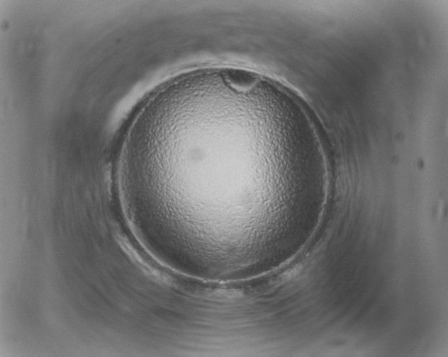 X0000056031503200508221501