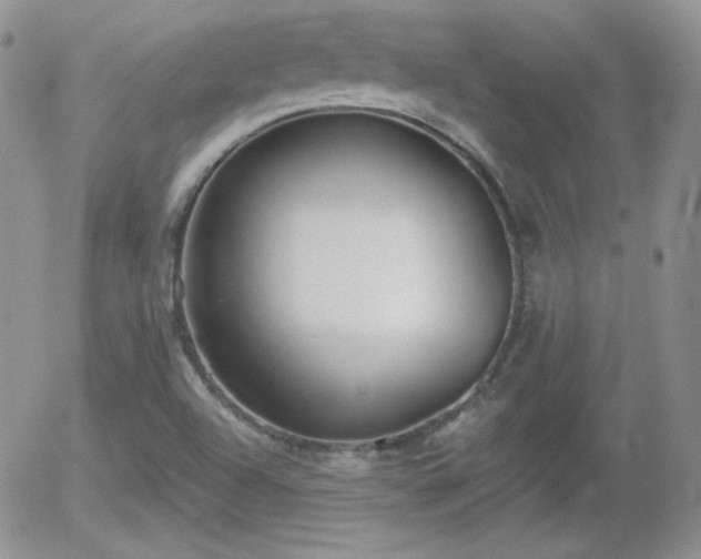 X0000056031504200508221501