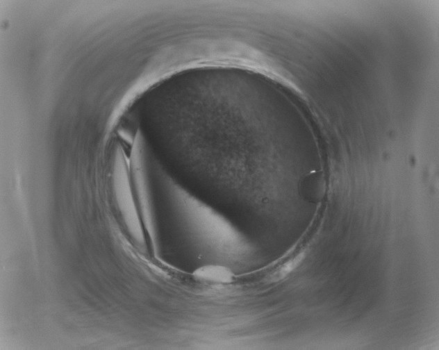 X0000056031506200508221501